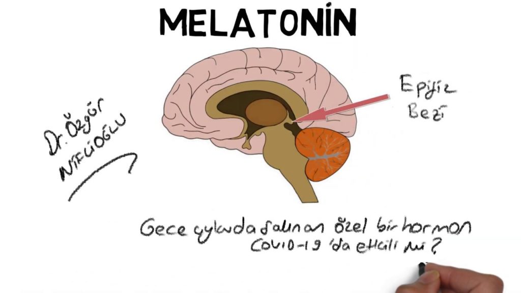 melatonin